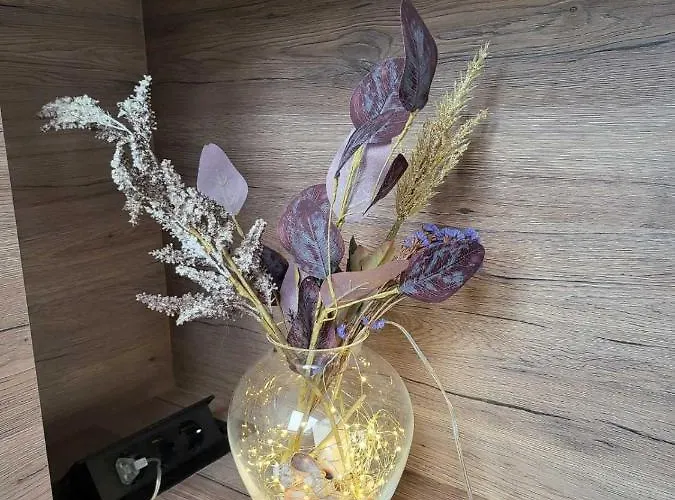 Amaya Апартамент Варна